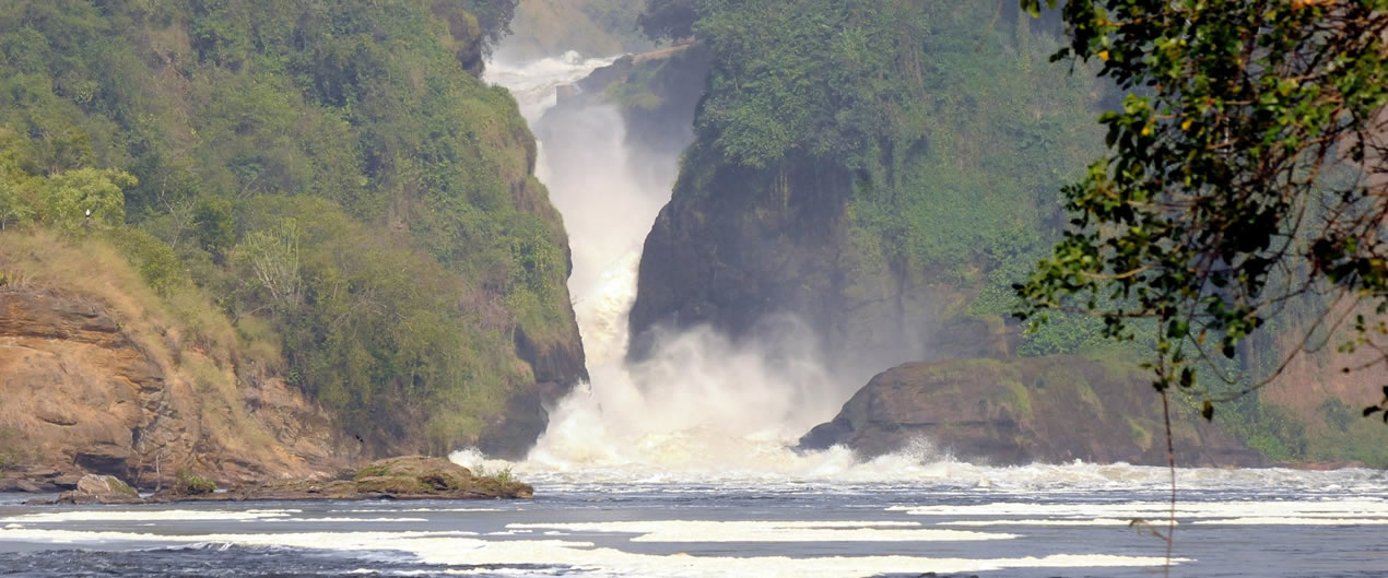 Murchison falls