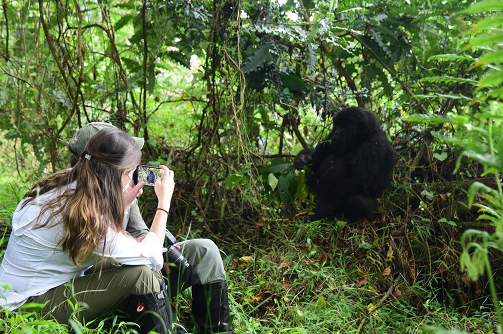 Gorilla Trekking Is Fun